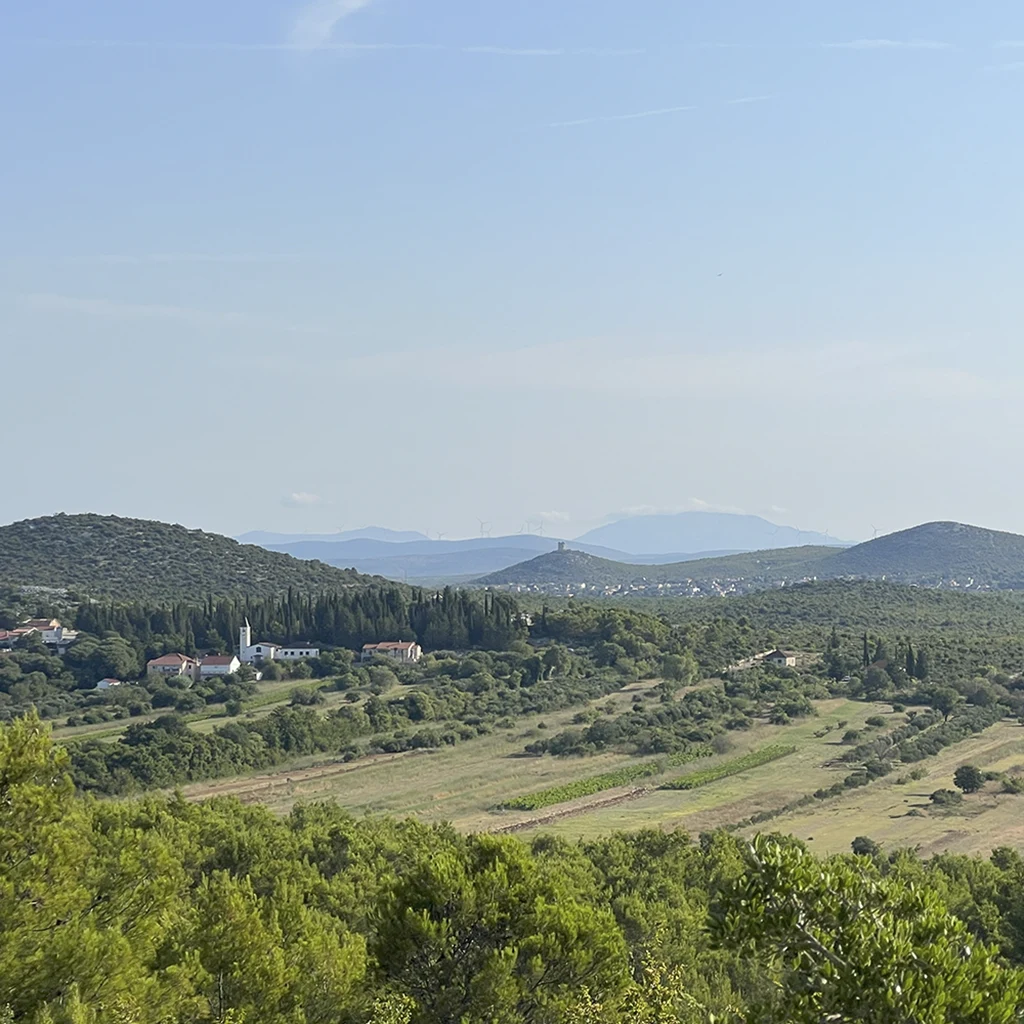 OPG Troskot Dalmacija – prodaja maslinovog ulja