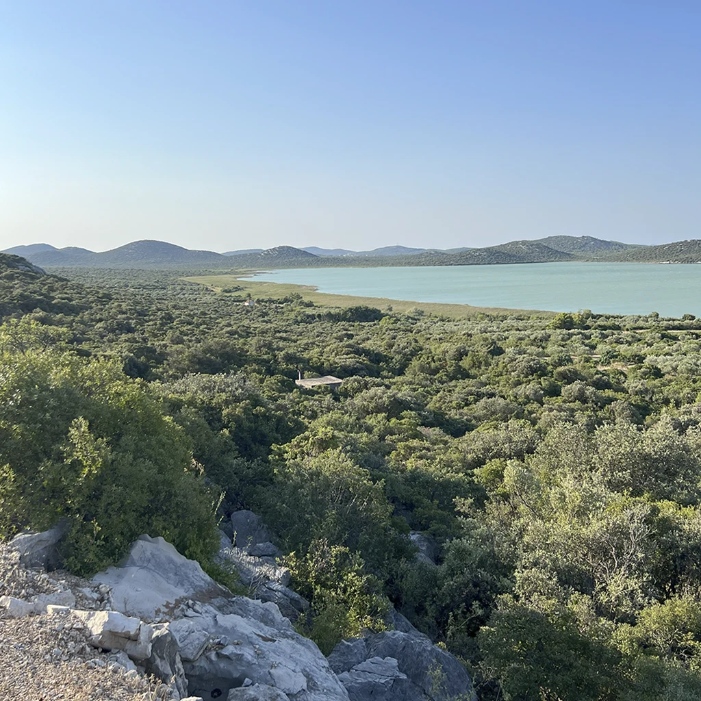 OPG Troskot Dalmacija – prodaja maslinovog ulja